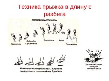 Техника кроссового бега Техника кроссового бега