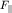 $F_\parallel$