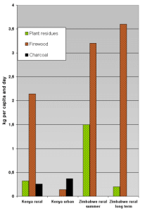 fuel consumption Kenya Zimbabwe