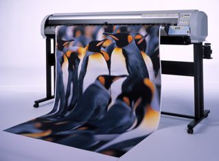 ������ MUTOH Rockhopper