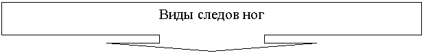 Выноска