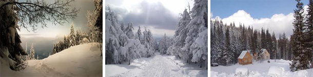 http://www.etnotur.com.ua/userfiles/yasinya_new_year_4.jpg