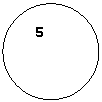 ����: 5