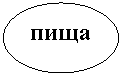 Овал: пища