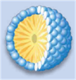 2-��������.png