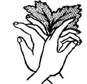 http://www.moi-detsad.ru/image/konsultac282_clip_image001.gif