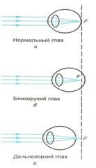 Изображение 453