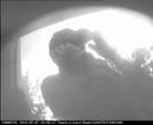 Описание: Описание: kl5_2454
