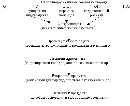 http://www.pharmindex.ru/images/terapy_ris1.gif