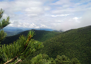 http://turistdv.com/joom/images/stories/marshrut/child/primorye/livadiyckiy1w.jpg