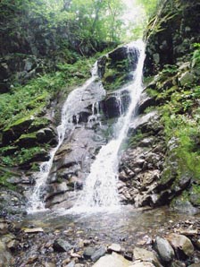 http://turistdv.com/joom/images/stories/marshrut/child/primorye/magiya1w.jpg