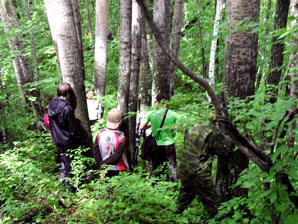 http://turistdv.com/joom/images/stories/marshrut/child/primorye/lipye1w.jpg