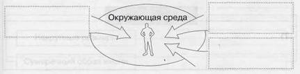 http://docs.podelise.ru/pars_docs/animal_refs/1/345/345_html_3bd3a487.jpg