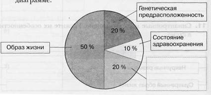 http://docs.podelise.ru/pars_docs/animal_refs/1/345/345_html_m5e90f0b6.jpg