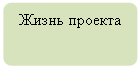 Блок-схема: альтернативный процесс: Жизнь проекта