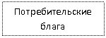 �������: ��������������� �����