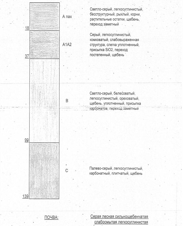 C:\Users\www.mobilkom.u\Downloads\Описание профиля почвенного разреза - 0001 (1).jpg