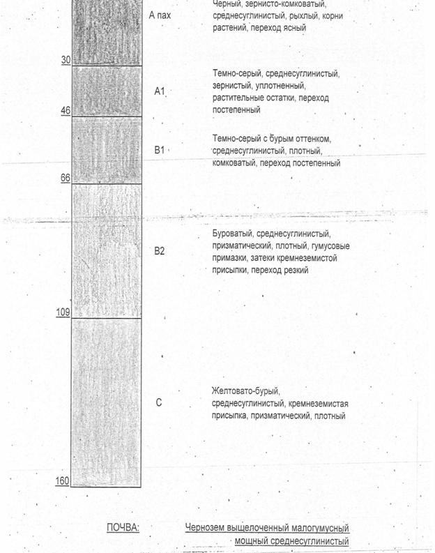 C:\Users\www.mobilkom.u\Downloads\Описание профиля почвенного разреза - 0002 (1).jpg