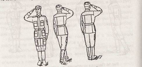 pict18.jpg