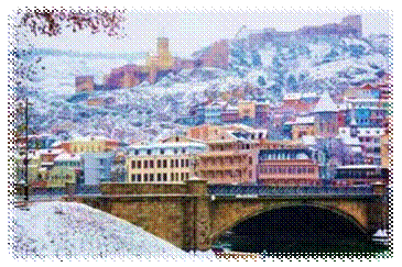D:\Anna Orlova\MICE\!!!!!! EMG\EMG_progs\Tbilisi NY\5.jpg
