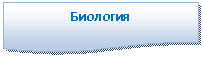 ����-�����: ��������: ��������