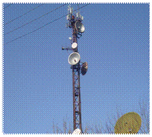 DSC01436