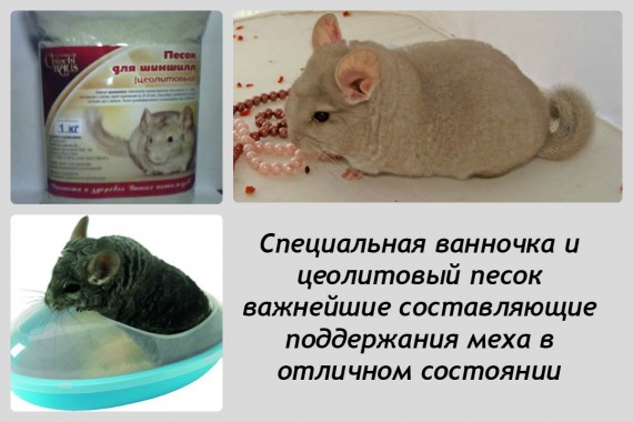 средства ухода за шкуркой шиншиллы