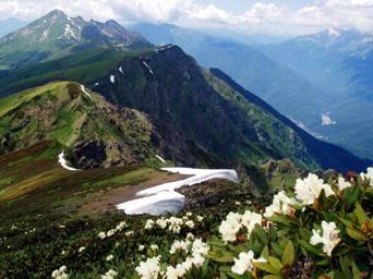 http://www.bftcom.com/upload/Foto/sochi2015/bft_sochi2015_5.jpg