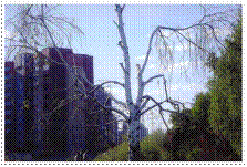 C:\Documents and Settings\�������������\��� ���������\��� �������\2009-05 (���)\0321.jpg