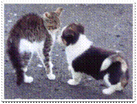 C:\Users\1\Desktop\����� ������ 2011\����� ������ (116).jpg