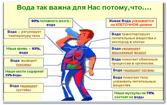 зачем человеку вода