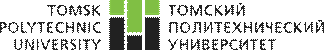 Национальный исследовательский Томский политехнический университет(ТПУ)