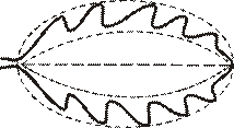 http://opengia.ru/resources/14cf9edde660e3119cce001fc68344c9-BIO2013VI9B502-copy1--14cf9edde660e3119cce001fc68344c9-1-1391506850/repr-0.gif