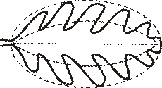 http://opengia.ru/resources/14cf9edde660e3119cce001fc68344c9-BIO2013VI9B502-copy1--14cf9edde660e3119cce001fc68344c9-2-1391506850/repr-0.gif