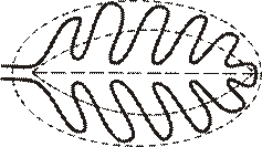 http://opengia.ru/resources/14cf9edde660e3119cce001fc68344c9-BIO2013VI9B502-copy1--14cf9edde660e3119cce001fc68344c9-3-1391506850/repr-0.gif