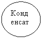 ����: �����������