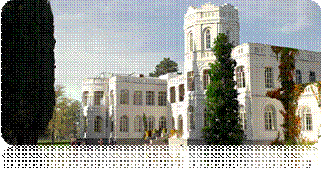 ��������: D:\suratebi\file.png