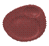 http://rakporcelain.com/products/productsmall_1058_1445171292NFNBFP32DR.png