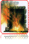 img150.jpg"