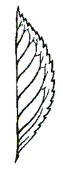 http://opengia.ru/resources/88f3fcbee660e3119cce001fc68344c9-BIO2013IX9B501-copy1--88f3fcbee660e3119cce001fc68344c9-13-1391506725/repr-0.gif