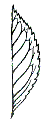 http://opengia.ru/resources/426a35bfe660e3119cce001fc68344c9-BIO2013IX9B502-copy1--426a35bfe660e3119cce001fc68344c9-13-1394788616/repr-0.gif