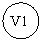 ����: V1
