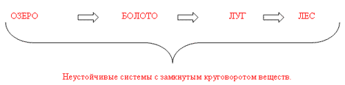 http://festival.1september.ru/articles/596489/Image9254.gif