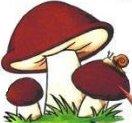 Описание: http://romashka-zavodskaya.caduk.ru/images/clip_image010.jpg