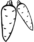 Описание: http://romashka-zavodskaya.caduk.ru/images/clip_image029.png