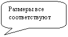 Скругленная прямоугольная выноска: Размеры все соответствуют