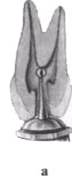 http://clubdent.narod.ru/profess/knigohr/clinendo/images/image040.jpg