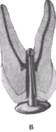 http://clubdent.narod.ru/profess/knigohr/clinendo/images/image062.jpg