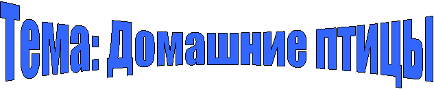 Тема: Домашние птицы