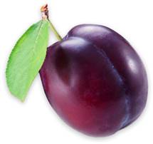 http://science-all.com/images/plum/plum-06.jpg